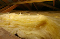 The Warren pitch roof insulation